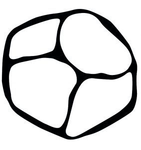 Logo de Néctar V.A. Cosmética